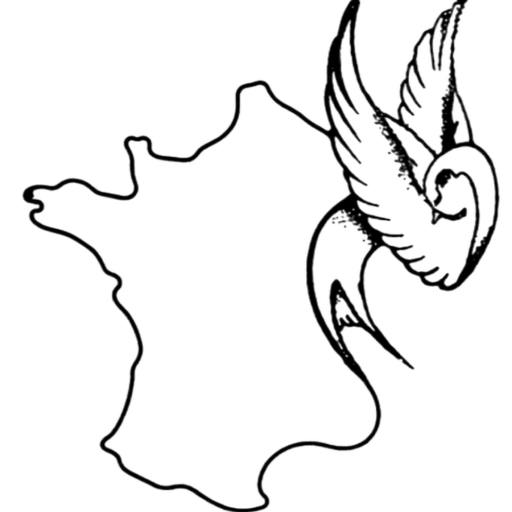 Sauveterre Études